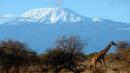 Kilimanjaro: Fire breaks out on Africa's tallest mountain