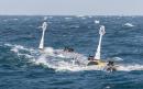 Device to clean-up Great Pacific Garbage Patch could harm wildlife, warn conservationists