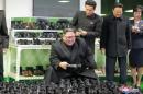 North Korea has more than sanctions to overcome for foreign investment - report