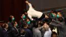 Hong Kong: Lawmakers carried out during parliament mayhem