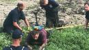 Illinois Man With Parrot on His Shoulder Rescued From Mud Hole by Firefighters