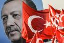 Erdogan: Turkey's combative 'chief' with eye on history
