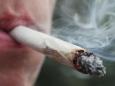 Teen marijuana use falls to 20-year low defying legalisation opponents' predictions