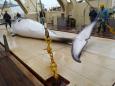 Japan fleet catches 177 whales in latest hunt