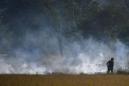 Indian farmers step up illegal fires as Delhi air crisis worsens