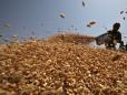 India to export wheat to Afghanistan, Lebanon in diplomatic deals
