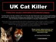 On the trail of London's serial cat killer
