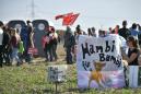 'Hambi stays!': Thousands join German forest demo in anti-coal battle